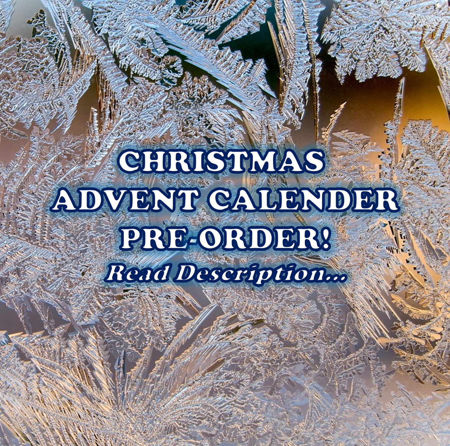 Advent Calender PREORDER- Christmas 2025- Adopt-A-Boo!