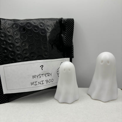 ?? MYSTERY Mini Boo ?? - Adopt a Boo!
