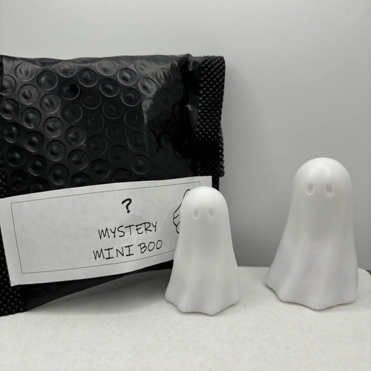 ?? MYSTERY Mini Boo ?? - Adopt a Boo!
