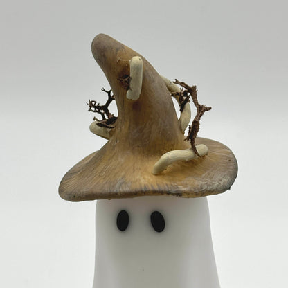 The Coven Collection- 1 - Adopt-A-Boo!